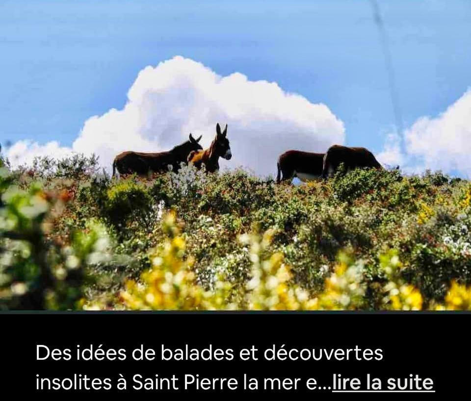 Face A La Mer Fleury Fleury  Bagian luar foto